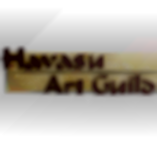 2026 Havasu Art Guild Winter Expo & Sale | Saturday, January 17