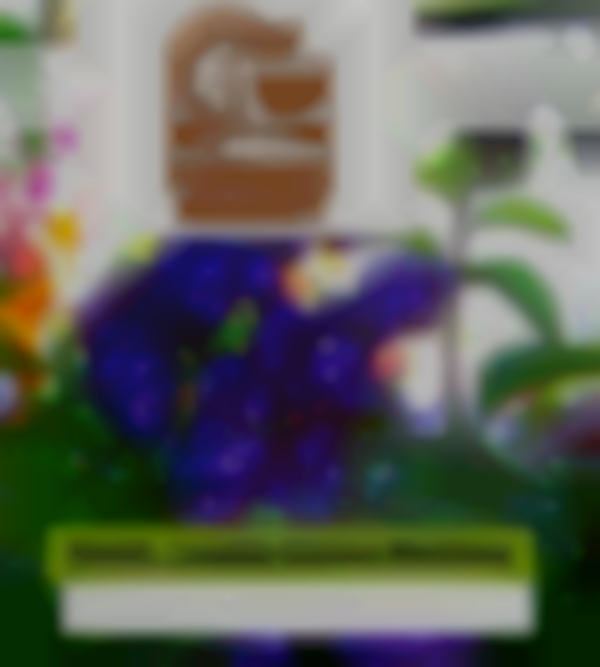 Mount Clemens Farmers Market 2025 (ALL SATURDAYS OF MAY)