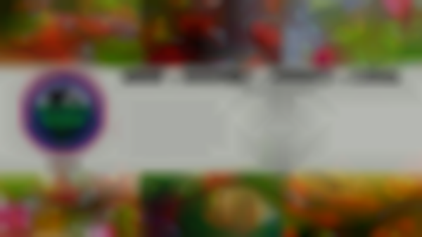 2025 Lucas Holiday Market at Country Christmas — Dec 5th