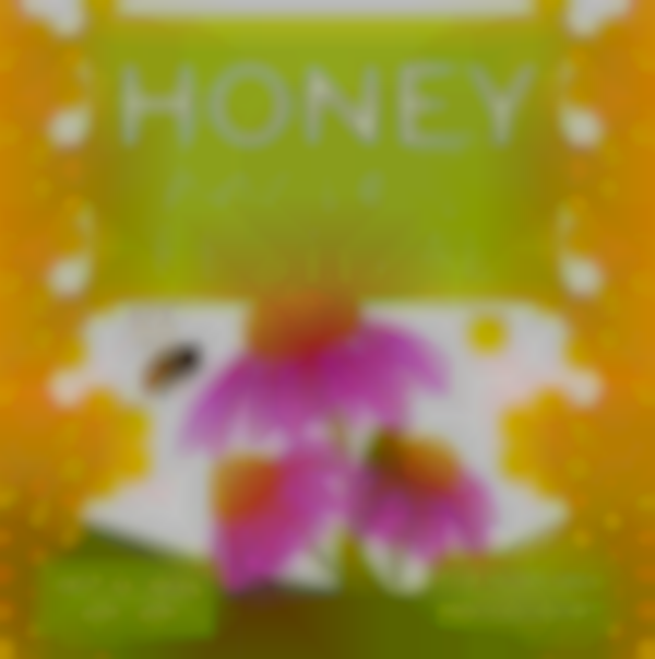 Masterson’s Honey Harvest Festival 2025