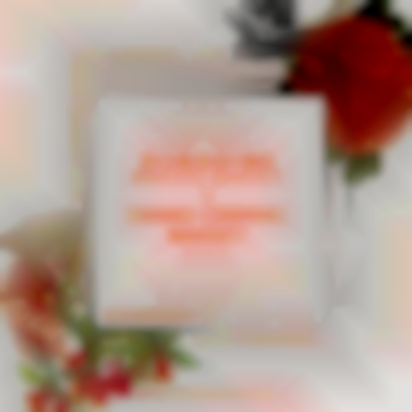 2025 Sunshine Makers Market X Grand Central Market DTLA | Nov 15th