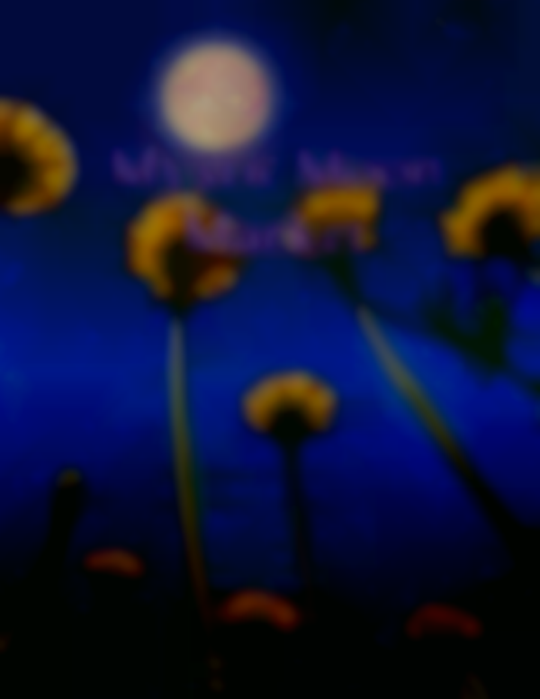 2025 The Witch’s Broom Closet ~ Mystic Moon Market | July 26th