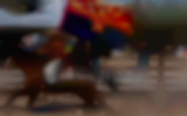 2025 Empire Ranch Cowboy Festival | Saturday, November 1