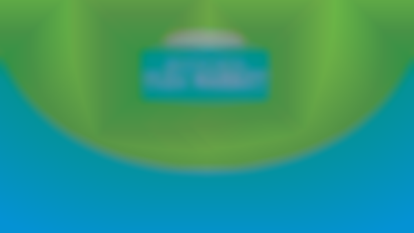 2026 Beach Boulevard Flea Market — Feb 20th