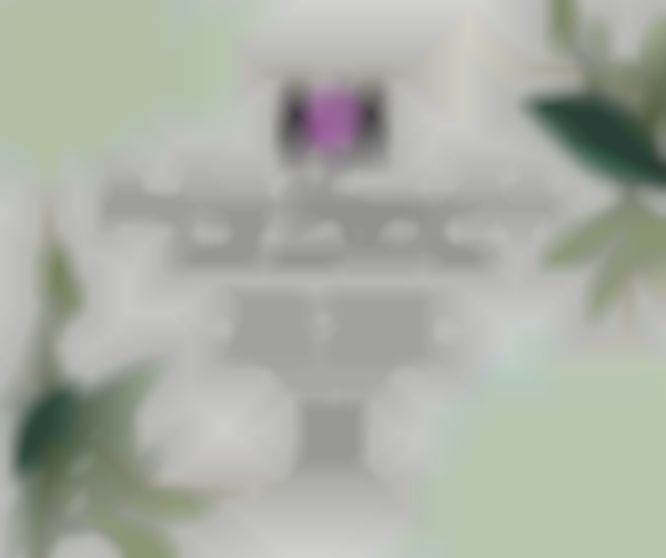 1st Sundays Pearl City Shopping Center Craft & Gift Fair — Mar 1st, 2026