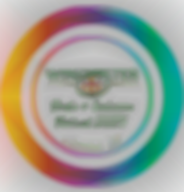 Winchester Pride + Inclusion Festival 2025