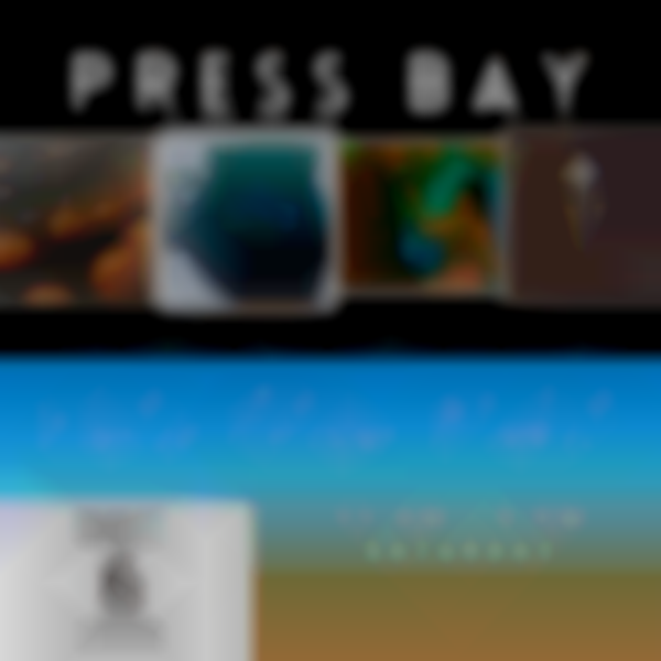 Press Bay Holiday Artisan Market 2025