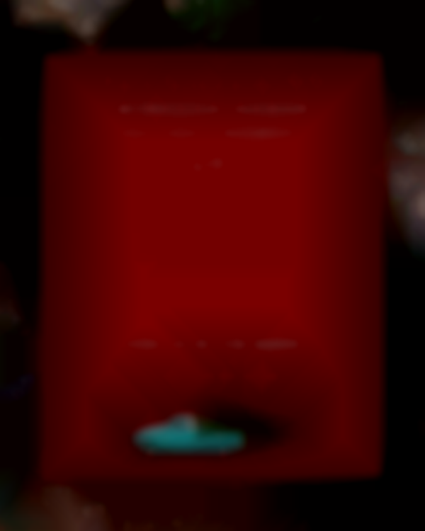 2025 Windham Manor Holiday Market