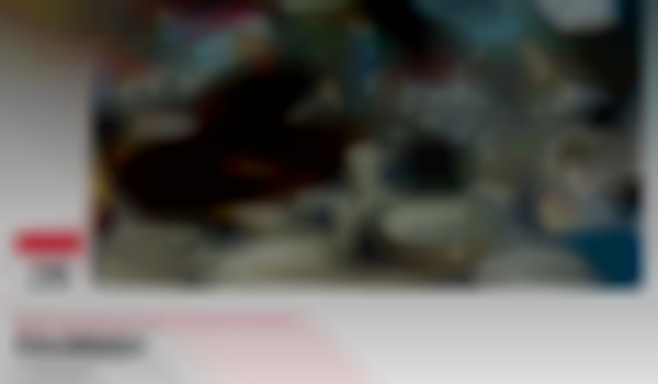 2026 Lindale Mall Flea Market — Mar 28-29