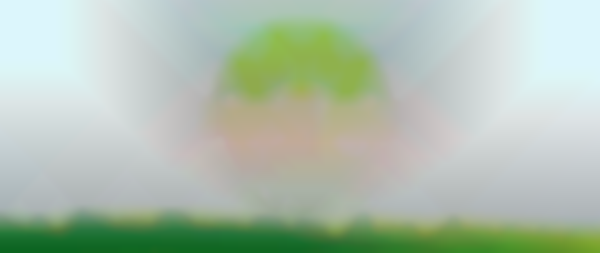 Forest Fest 2025