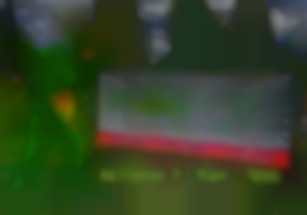 Frog Festival 2025