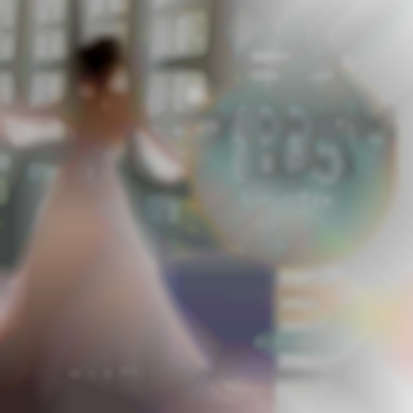 2025 Wedding Expo at Anaheim Convention Center | Oct 25th