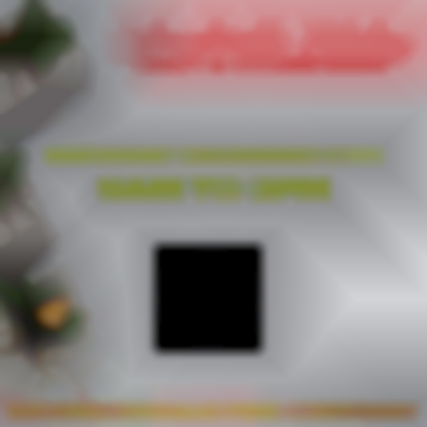 2025 Schnecksville Holiday Craft & Vendor Show | Dec 13th