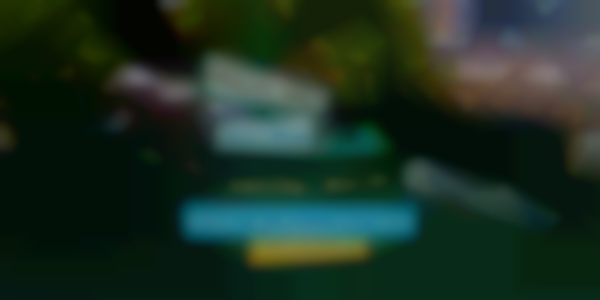 2026 Highlands Street Fair — Jun 20th