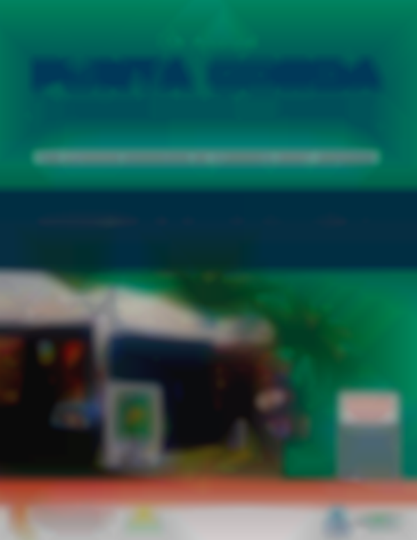 7th Annual Punta Gorda Thanksgiving Weekend Sullivan Street Craft Festival — Nov 29-30