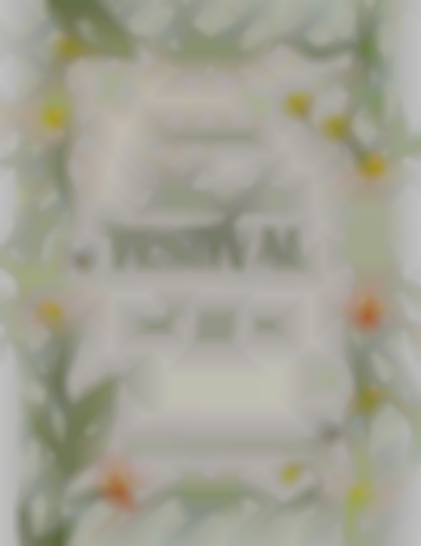 2026 Victory Gardens Honeybee Festival — Jun 27th