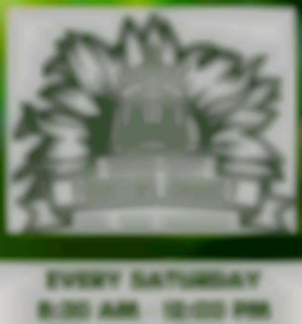 Barrow County Farmers Market 2025 | November 22nd