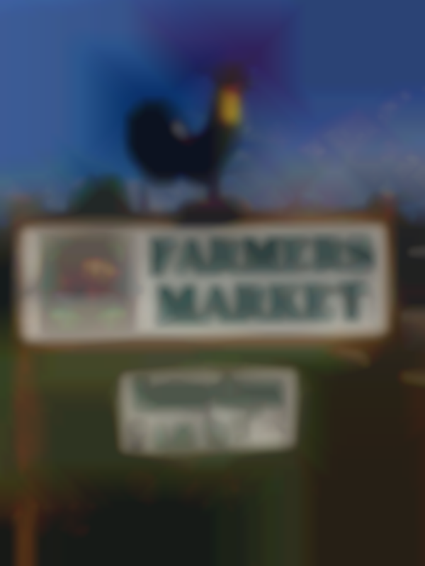 2025 Cotton Mill Farmers Market | Saturday, October 25th