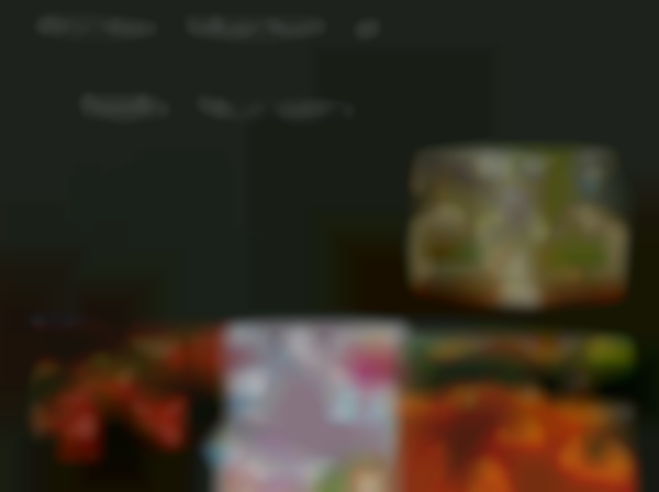 2025 Winter Market at Bell’s Nursery — Dec 20th