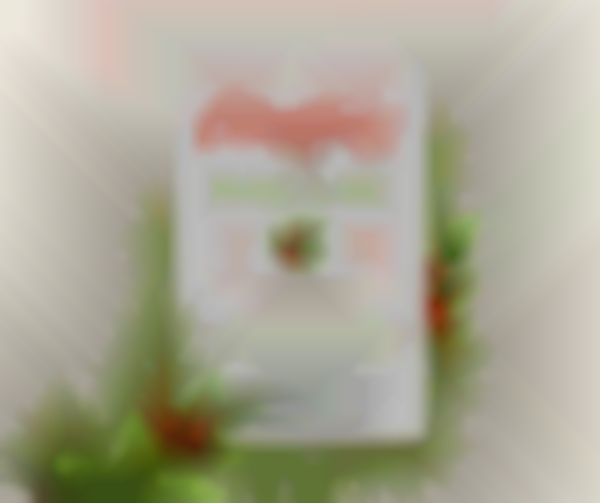 2025 St. Michael's Naugatuck Christmas Bazaar — Dec 6th