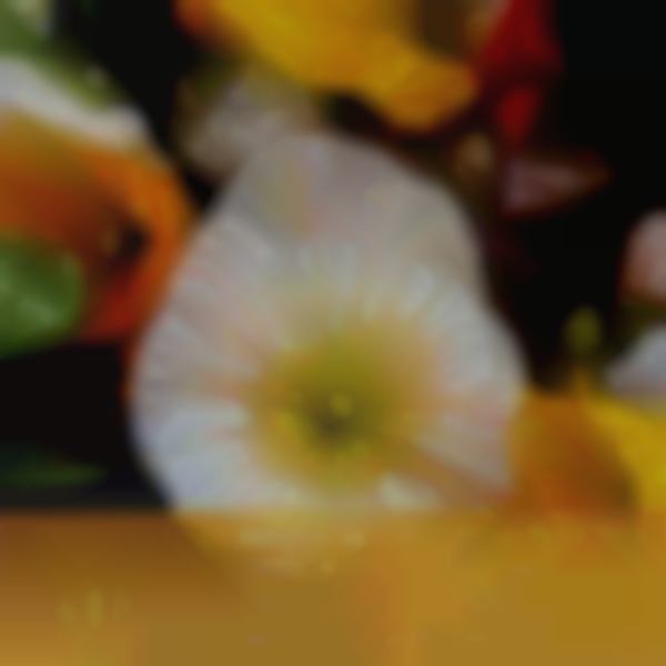 Lexington Farmers Market (May 6)