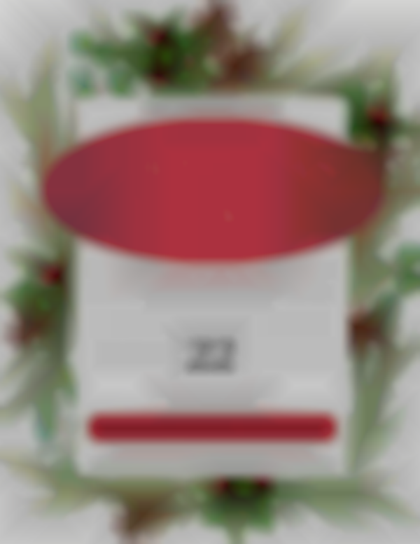 2025 HLS Christmas Market & North Pole Shop