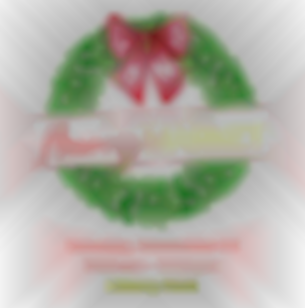 2025 Madison the City Merry Market | Nov 29th