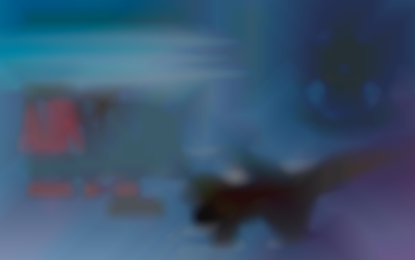 2025 Gary Air Show Weekend - (9th - 10th of Aug)