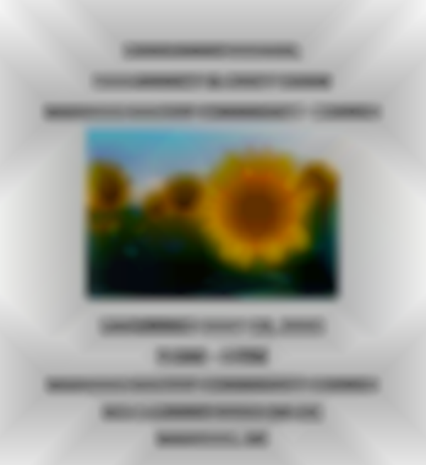 Mayville Sunflower Festival 2025