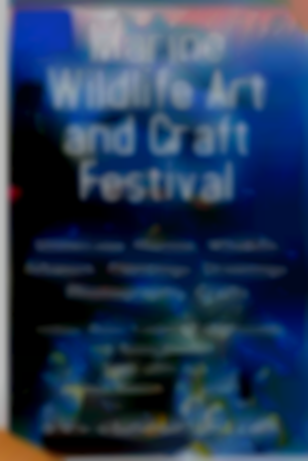 2025 Marine Wildlife Art & Craft Festival | Nov 1-2
