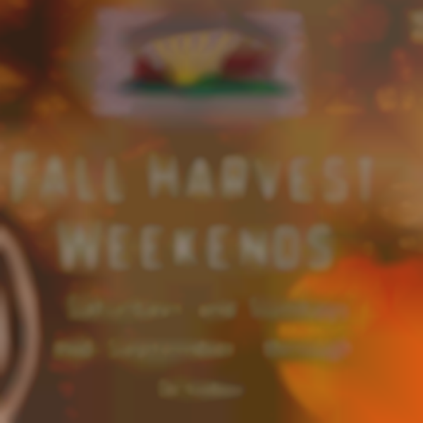 2025 Fall Harvest Weekends at Donaldson Farms