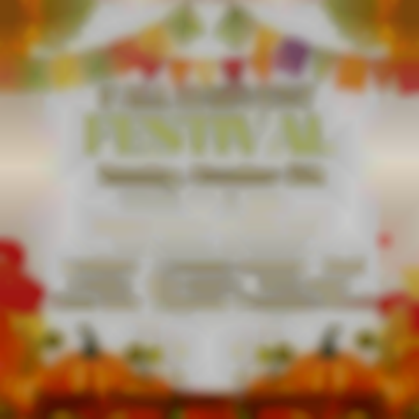South Toms River Area Optimist Club Fall Festival 2025