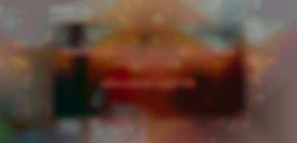 2025 Christmas Market Craft/Vendor Show at The Village