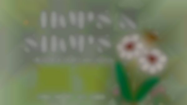 2025 Hops & Shops: sunshine & whimsy | Sunday, May 25th
